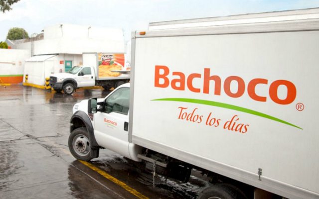 Ventas de Bachoco se disparan 22% pese a súper dólar