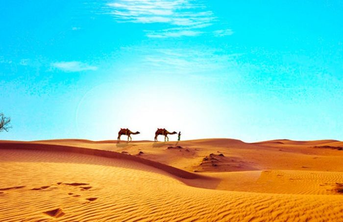 ¿Cómo el Sáhara se convirtió en un desierto?