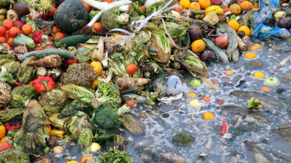 Desperdicia México 20.4 millones de toneladas de alimentos al año