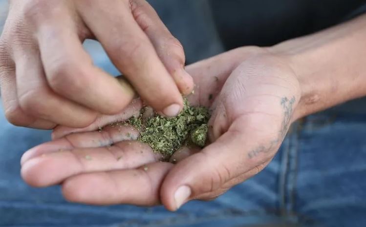 López Obrador rechaza legalizar mariguana para su uso recreativo