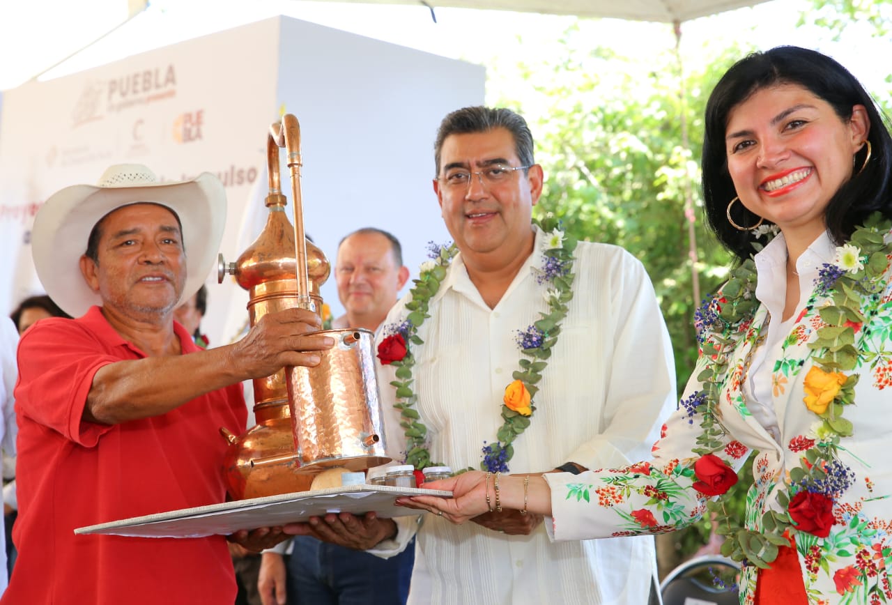 Favorece gobierno de Puebla producción de mezcal y desarrollo económico en Chiautla