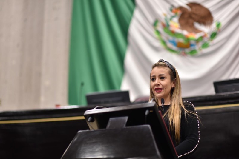 Propone diputada Nora Lagunes fortalecimiento del IVM