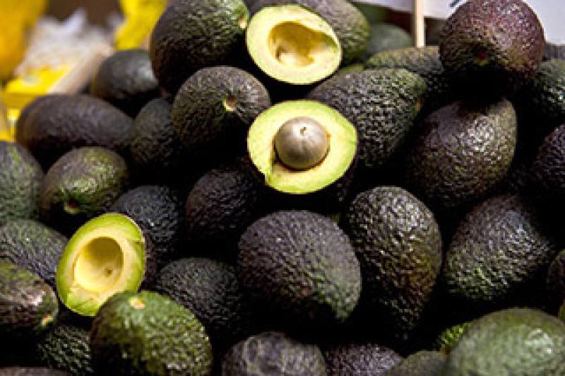 Aguacate afectado por la oferta y demanda en mercados de la República mexicana