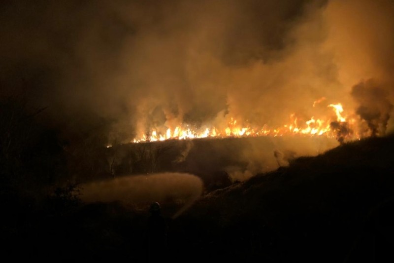 Sofocan Bomberos de Medellín, Veracruz, fuego en pastizales en cercanías de fraccionamiento