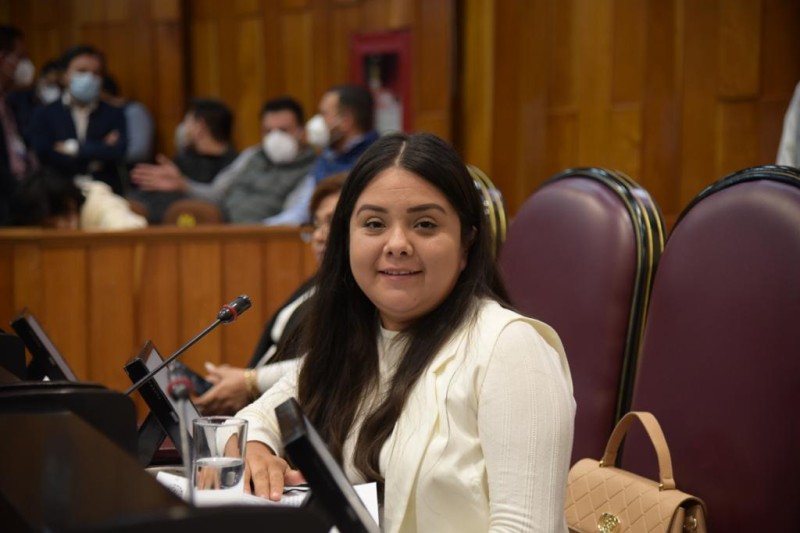 Turnan a Comisiones iniciativas de la diputada Libni Adaelsi Sánchez Núñez