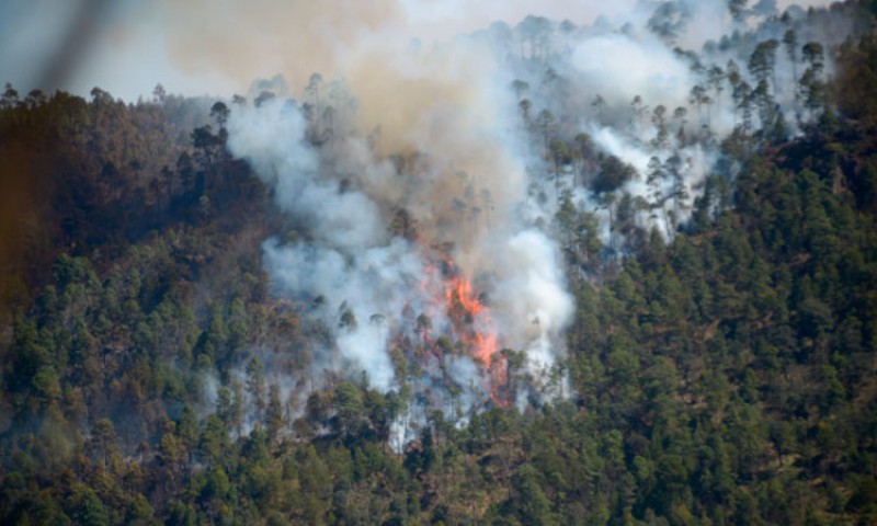 Alerta: más incendios forestales que el año pasado