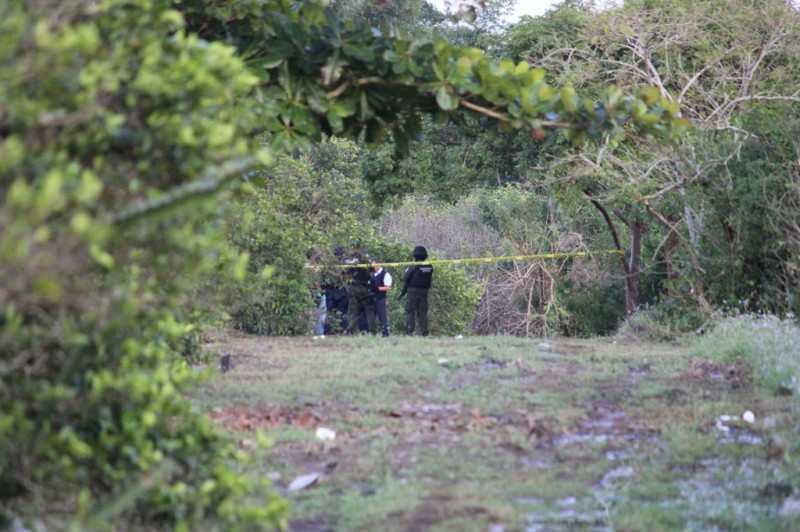 Hallan cuerpo de mujer en descomposición en Martínez de la Torre, Veracruz