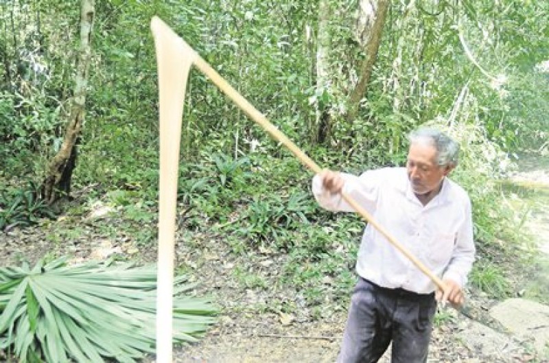 Chicle maya, de México para el mundo