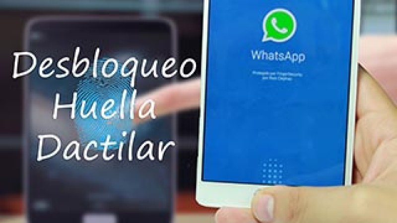 Muestran cómo burlar el sensor de huellas dactilares del celular