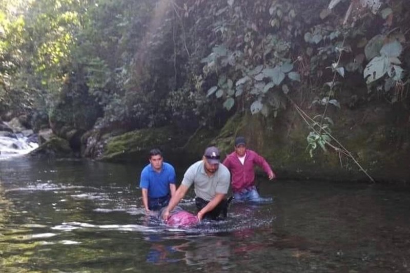 Encuentran cuerpo flotando en río en el municipio de Chiconquiaco, Veracruz