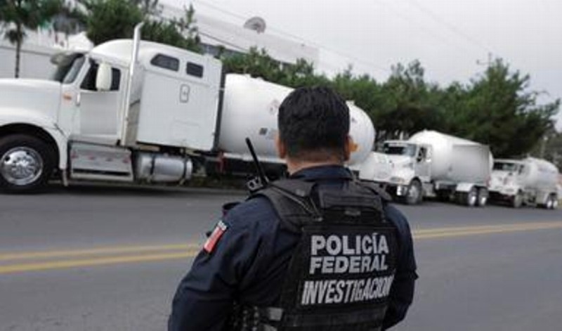 Volcadura de camión con pollos desata rapiña en carretera Nautla-Vega de Alatorre, Veracruz