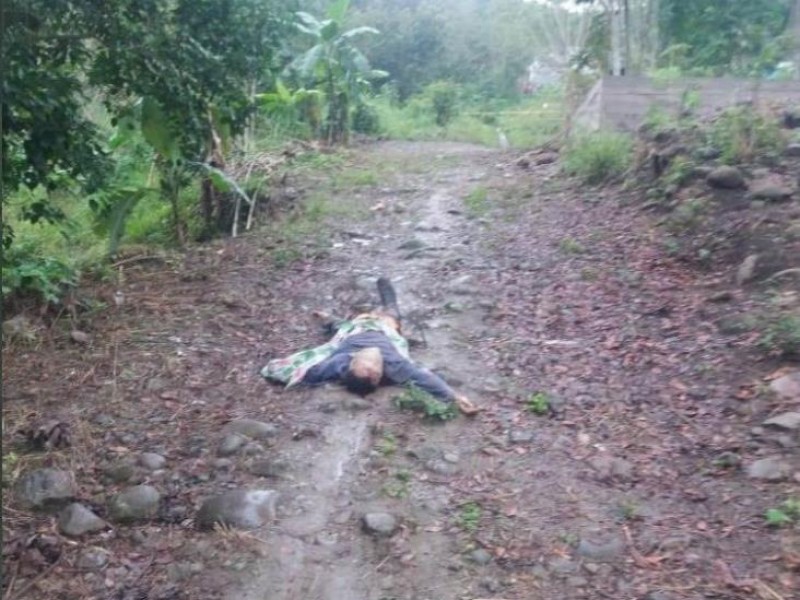 Abandonan a ejecutado cerca de carretera estatal Martínez-Misantla