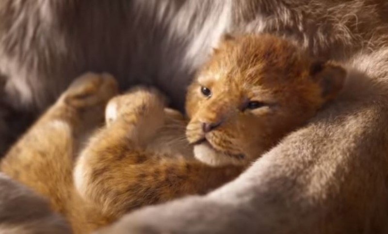 Disney estrena tráiler de nueva versión de “El Rey León” (+video)